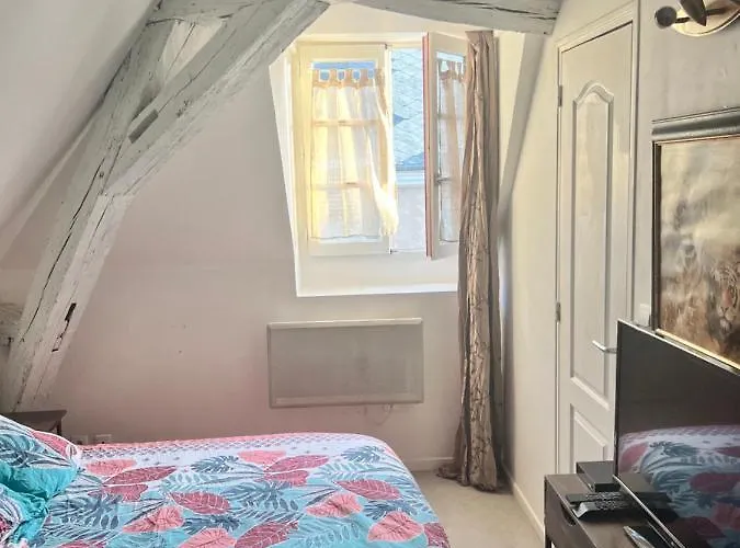 Le Pacific - Appartement Spacieux Centre Ville